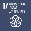 ODS 17 WEB