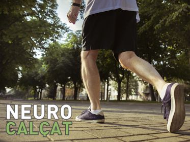 NEUROCALÇAT